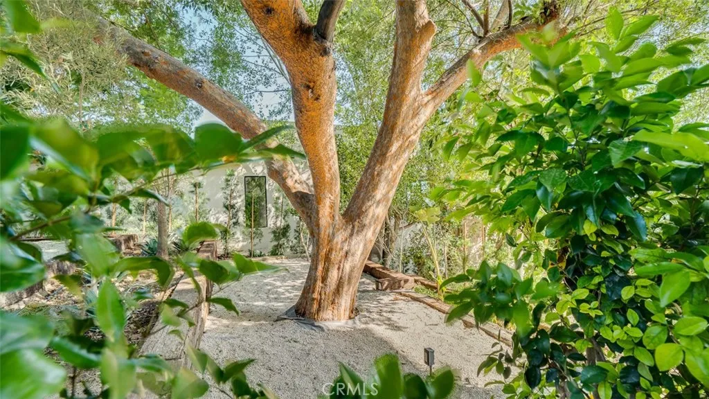 854 W Avenue 37, Los Angeles, California 90065 home-pic-64